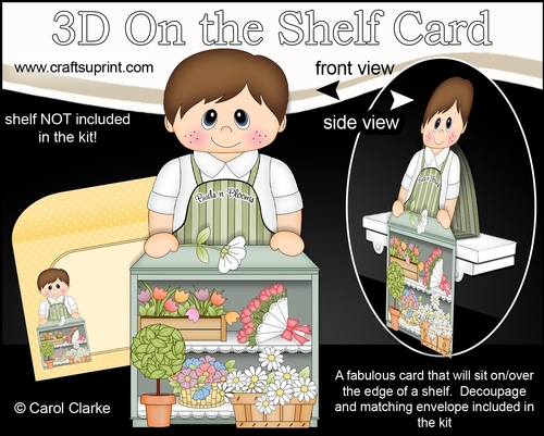 3D On the Shelf Card Kit - Little Buds n Blooms  Florist Zane