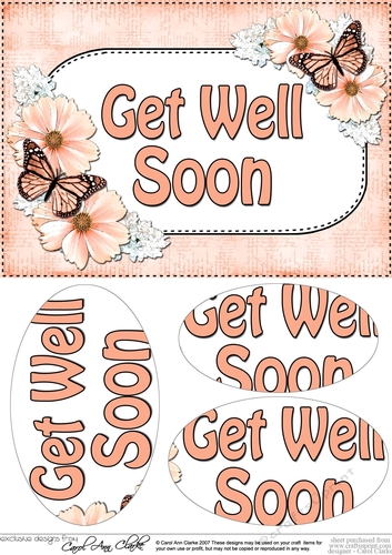 A5 GET WELL SOON Butterflies & Flowers Oval Pyramage Topper