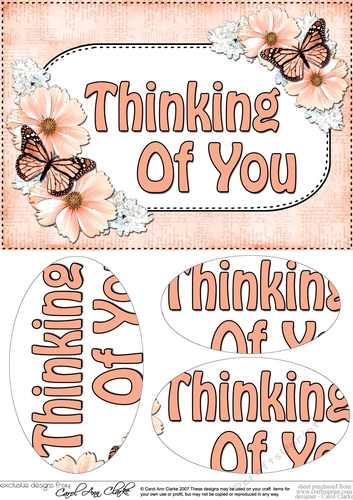 A5 THINKING OF YOU Butterflies & Flowers Oval Pyramage Topper
