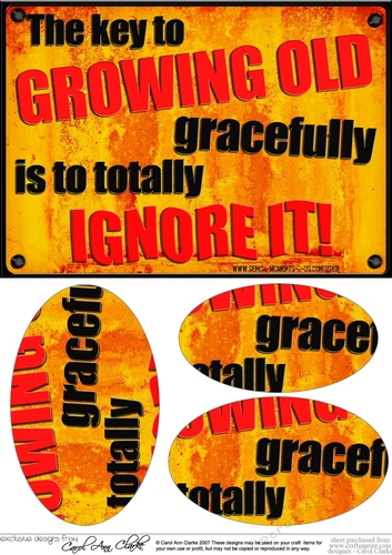 A5 Growing Old Gracefully Fun Novelty Senior Moment Saying Oval Pyramage Topper