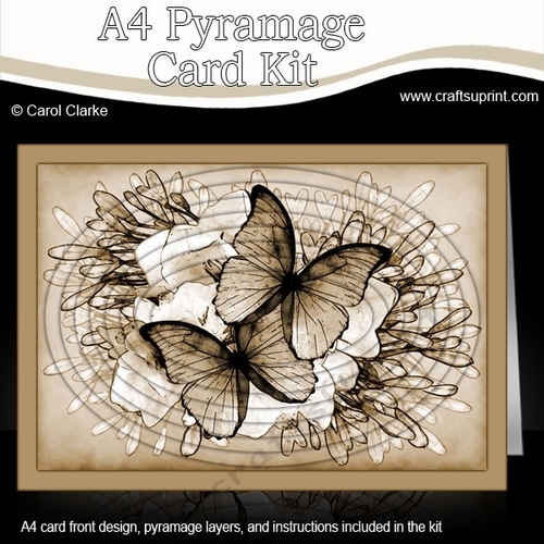 A4 Butterflies & Flowers Oval Pyramage Kit