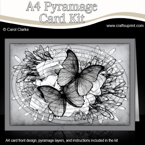 A4 Butterflies & Flowers Oval Pyramage Kit