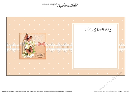 Birthday Butterflies Flowers, Pearls & Lace  Birdcage High square landscape insert