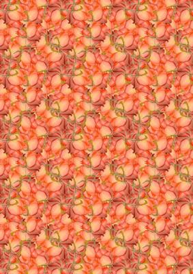 Rose, Lace and Pearls Matching Backing Paper