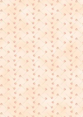 Rose, Lace and Pearls Matching Vellum