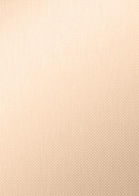 Rose, Lace and Pearls Matching Vellum
