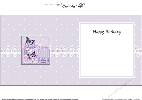Birthday Butterflies and Flowers Birdcage square landscape insert