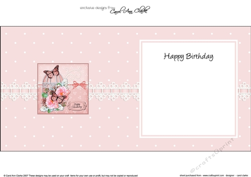 Birthday Butterflies Roses & Lace Birdcage square landscape insert