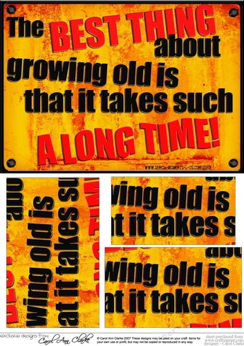 A5 Growing Old Fun Novelty Senior Moment Saying Pyramage Topper