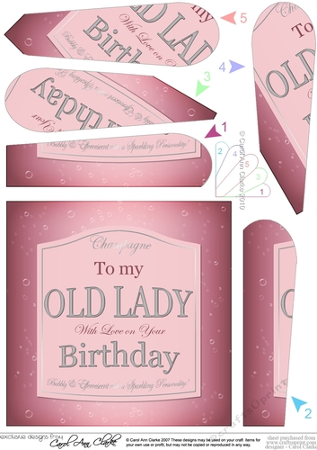 Happy Birthday OLD LADY pink champers Wine Label Fan Pyramage