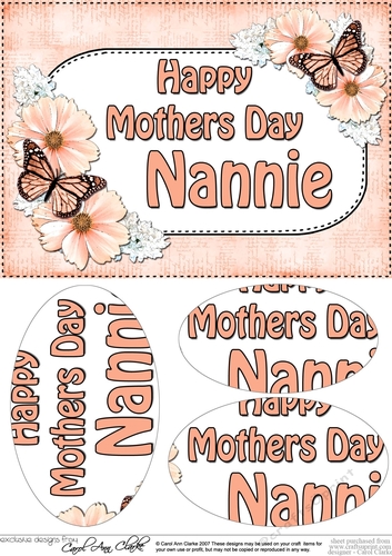 A5 HAPPY MOTHERS DAY NANNIE Butterflies & Flowers Oval Pyramage Topper