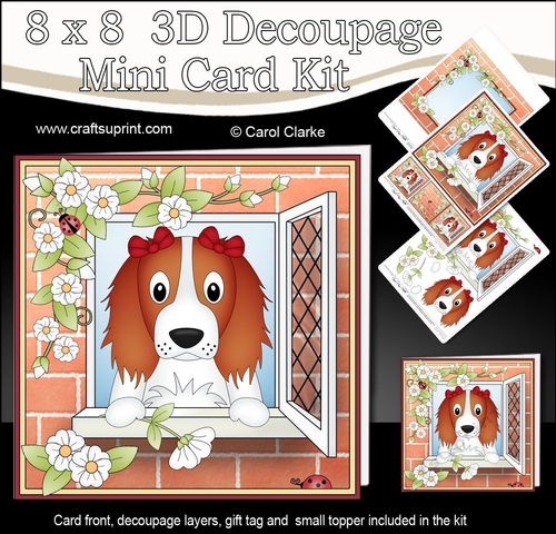 8 x 8 Mini Kit with 3d Decoupage - Through the Window - Little Springer Spaniel Dog Petra