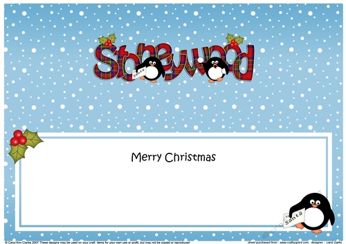 Large DL Merry Christmas from STONEYWOOD insert