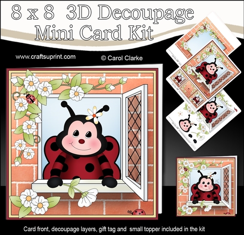 8 x 8 Mini Kit with 3d Decoupage - Through the Window - Little Ladybird Bugs
