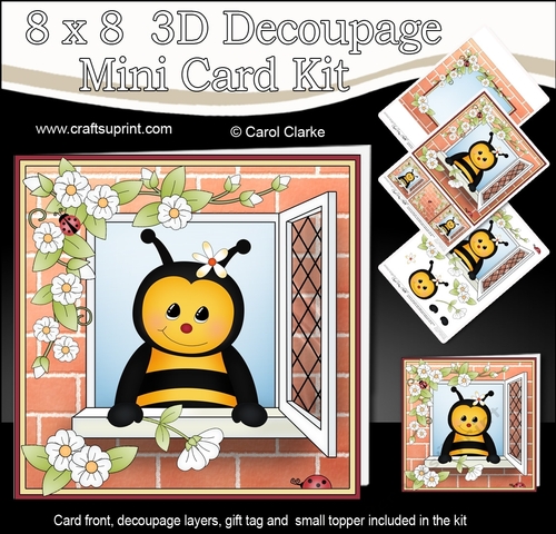 8 x 8 Mini Kit with 3d Decoupage - Through the Window - Little Buzz Bee