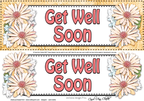Large DL GET WELL SOON Daisies Floral 3D decoupage
