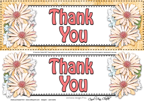 Large DL THANK YOU Daisies Floral 3D decoupage