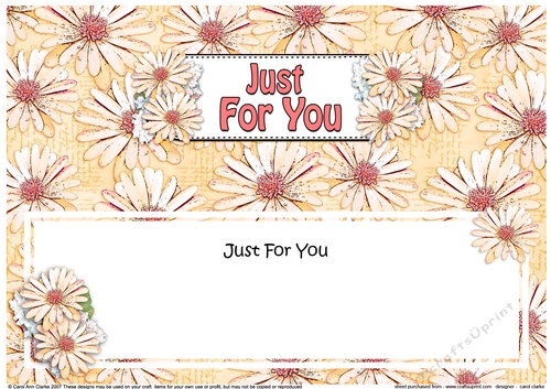 Large DL JUST FOR YOU Daisies Floral matching insert