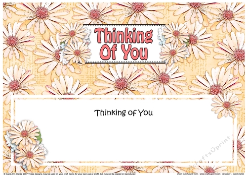 Large DL THINKING OF YOU Daisies Floral matching insert