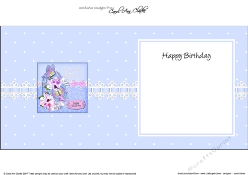 Birthday Butterflies, Pretty Flowers & Pearls Birdcage square landscape insert