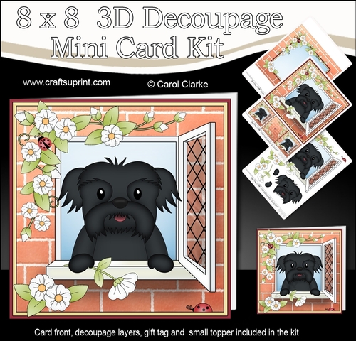 8 x 8 Mini Kit with 3d Decoupage - Through the Window - Little Shih Tzu Dog Bo
