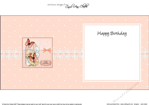 Birthday Butterflies, Pretty Flowers & Pearls Birdcage square landscape insert