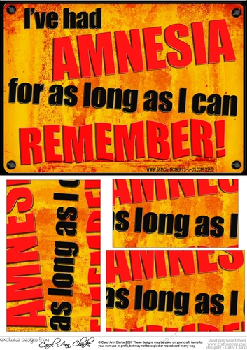 A5 Ive had amnesia for as long as I can remember!  Fun Novelty Senior Moment Saying Pyramage Topper
