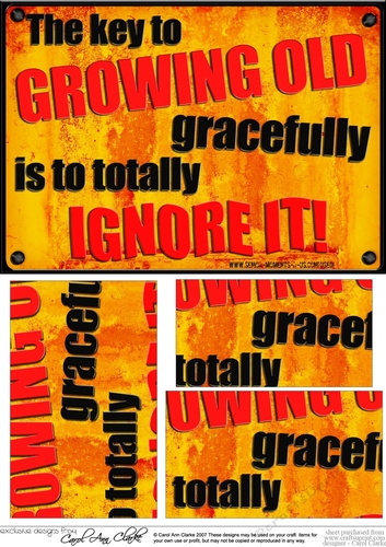 A5 The key to growing old gracefully is to totally ignore it! Fun Novelty Senior Moment Saying Pyramage Topper