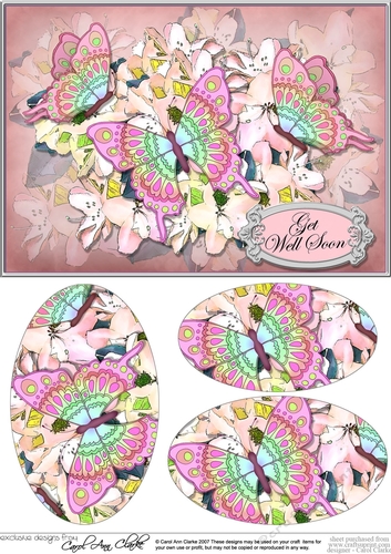 A5 Get Well Soon Flowers & Butterfly Oval Pyramage Topper