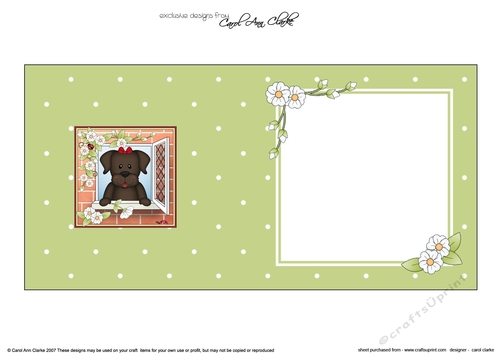 Square landscape insert - Through the Window - Cute Little Chocolate Labrador Dog