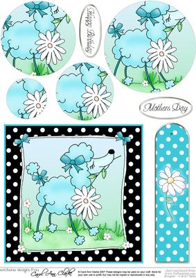 Cute Poodle Quick Card with Circle Pyramage