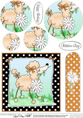Cute Poodle Quick Card with Circle Pyramage