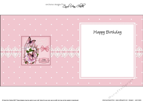 Birthday Butterflies, Flowers & Pearls Birdcage square landscape insert