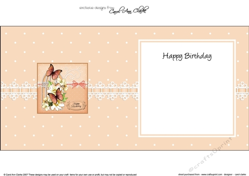 Birthday Butterflies, Flowers & Pearls Birdcage square landscape insert