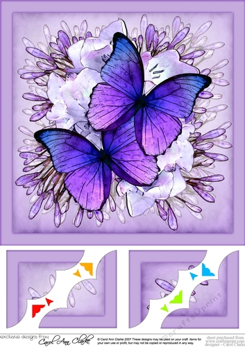 8 x 8 Butterflies & Flowers Scalloped Corner Topper 