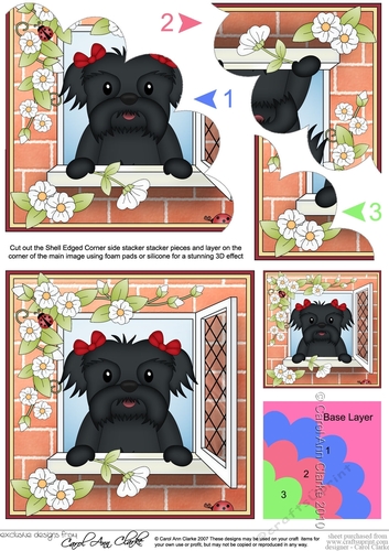 Shell Edged Corner Side Stacker - Through the Window - Cute Little Shitz Tsu Dog 
