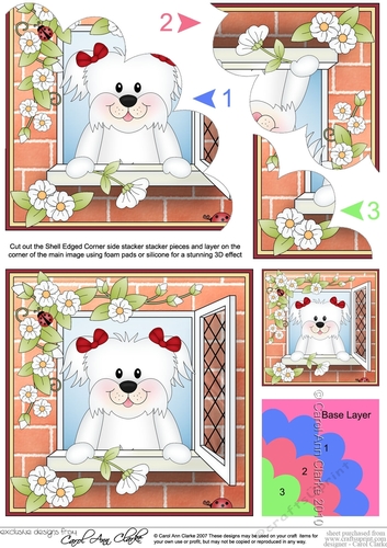 Shell Edged Corner Side Stacker - Through the Window - Cute Little Bichon Frise Dog 