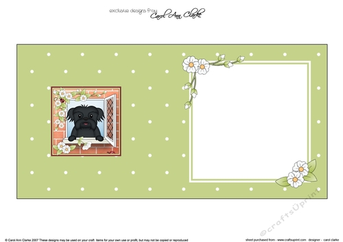Square landscape insert - Through the Window - Cute Little Shih Tsu Dog