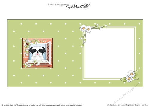 Square landscape insert - Through the Window - Cute Little Shih Tsu Dog