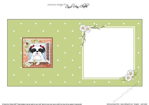 Square landscape insert - Through the Window - Cute Little Shih Tsu Dog