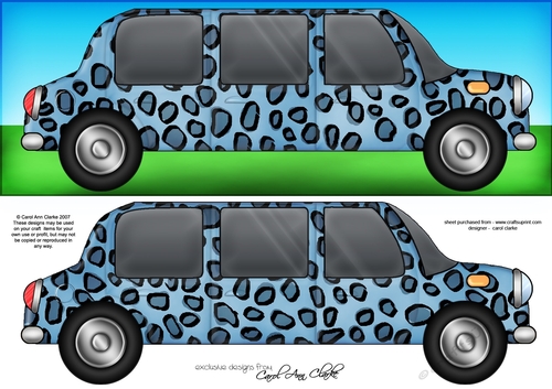 Large DL Leopardskin Stretch Limo Quick Card n 3D decoupage 