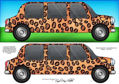 Large DL Leopardskin Stretch Limo Quick Card n 3D decoupage 