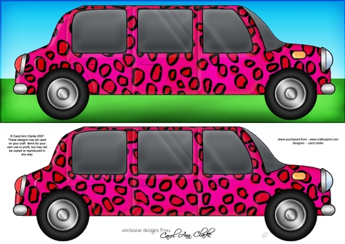 Large DL Leopardskin Stretch Limo Quick Card n 3D decoupage 