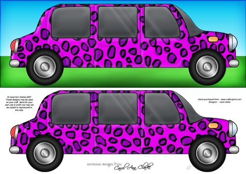 Large DL Leopardskin Stretch Limo Quick Card n 3D decoupage 
