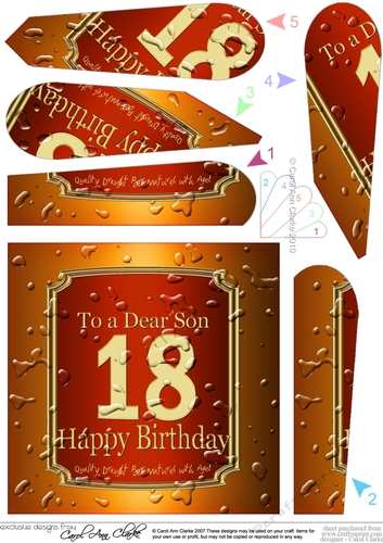 18th Birthday SON Beer Label Fan Pyramage Topper