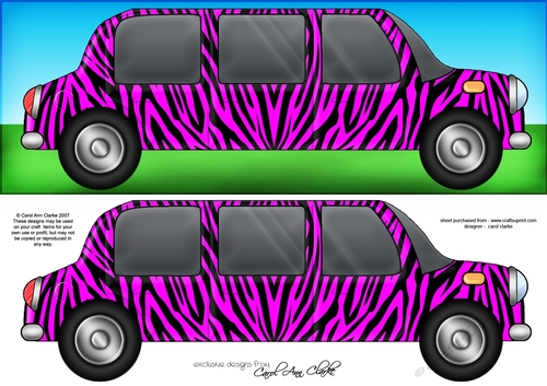 Large DL Zebra Stripe Stretch Limo Quick Card & 3D decoupage 