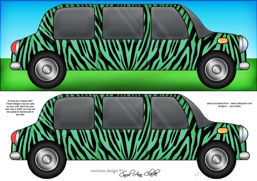Large DL Zebra Stripe Stretch Limo Quick Card & 3D decoupage 