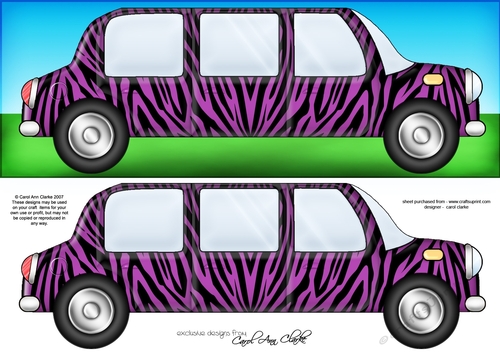 Large DL Zebra Stripe Stretch Limo Quick Card & 3D decoupage 