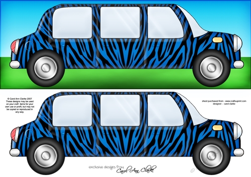 Large DL Zebra Stripe Stretch Limo Quick Card & 3D decoupage 