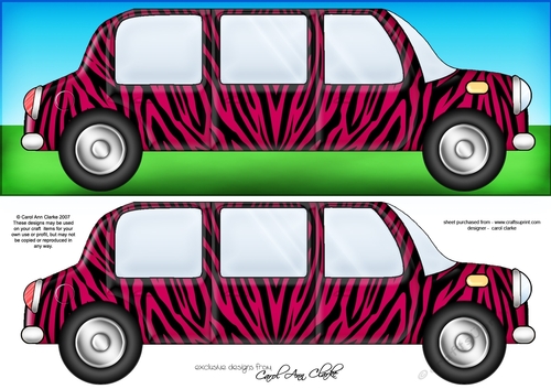 Large DL Zebra Stripe Stretch Limo Quick Card & 3D decoupage 